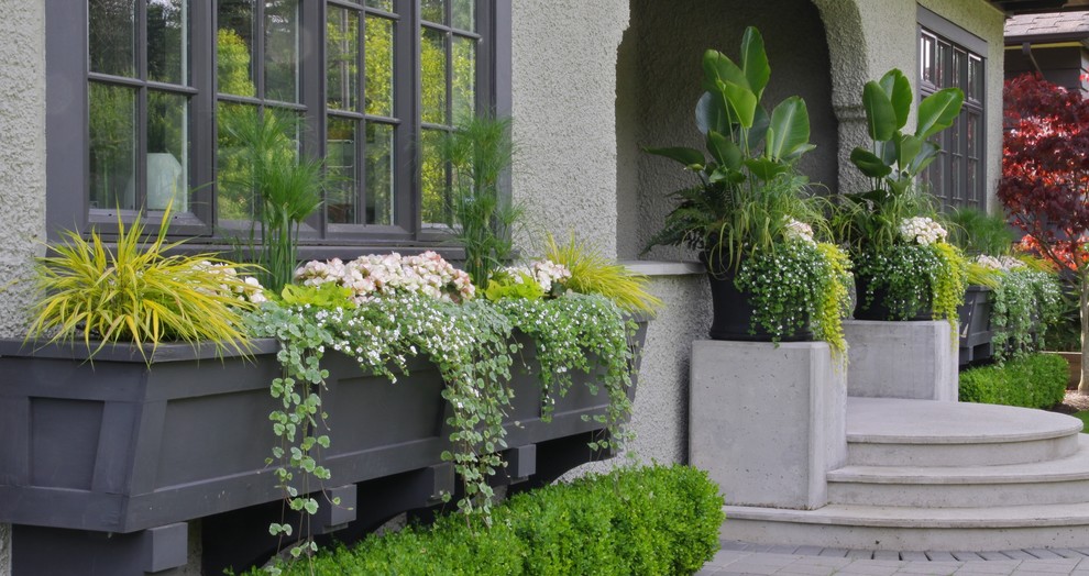 Design ideas for a traditional front yard garden in Vancouver with a container garden and natural stone pavers.