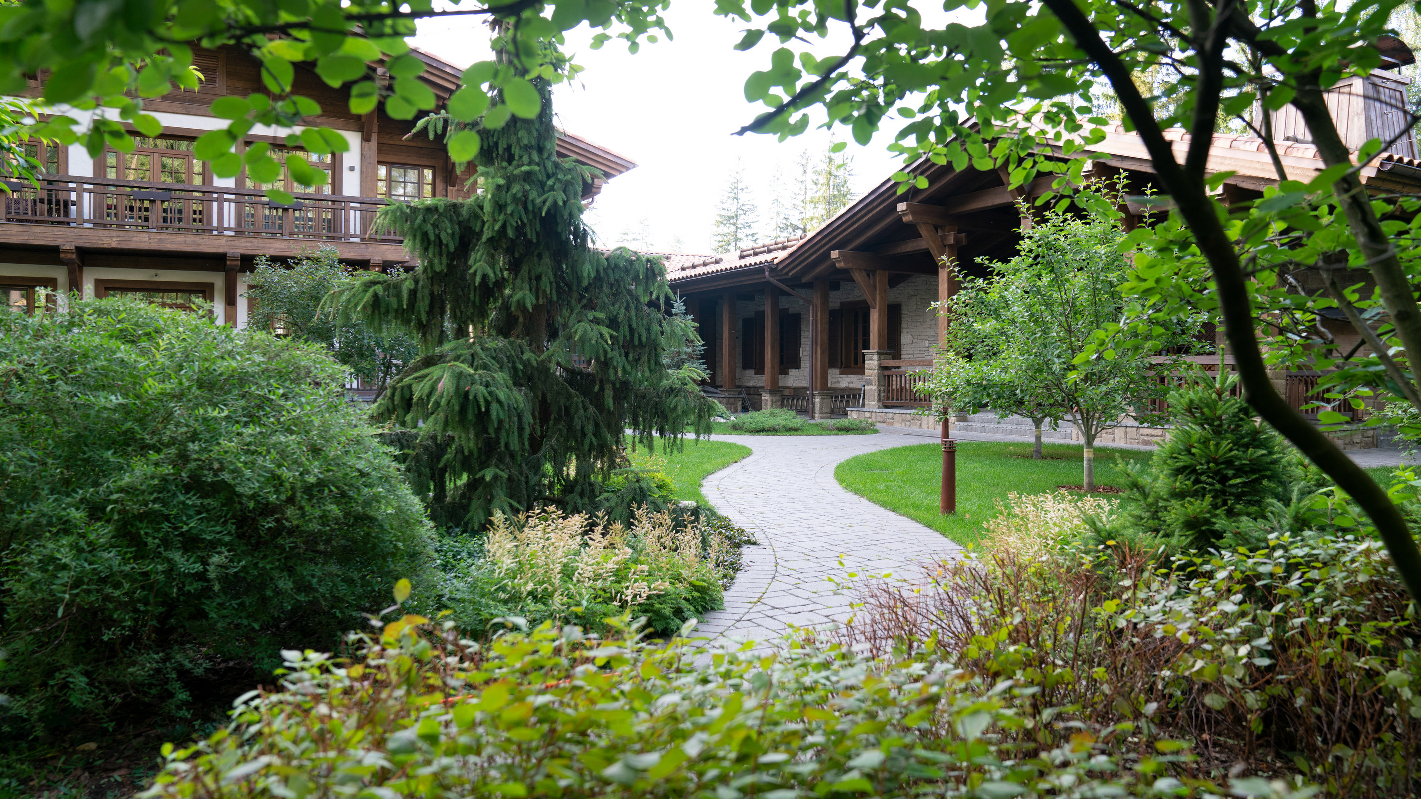 Мечта об Альпах. КП "Вымпел", Новорижское шоссе. 2017 г.