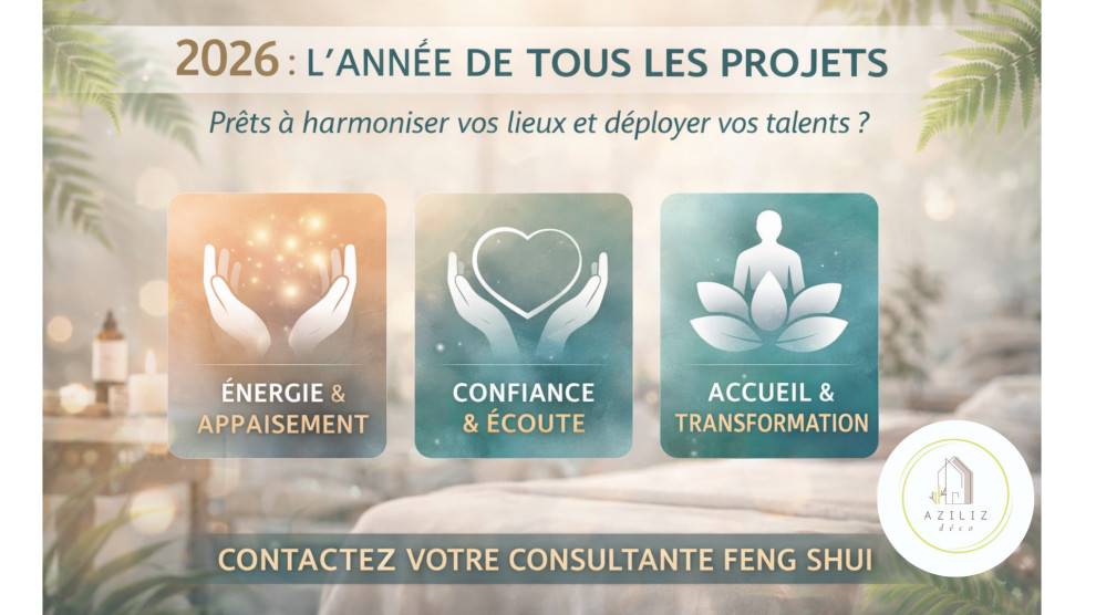 FENG SHUI POUR LES PRATICIENS DU BIEN ETRE