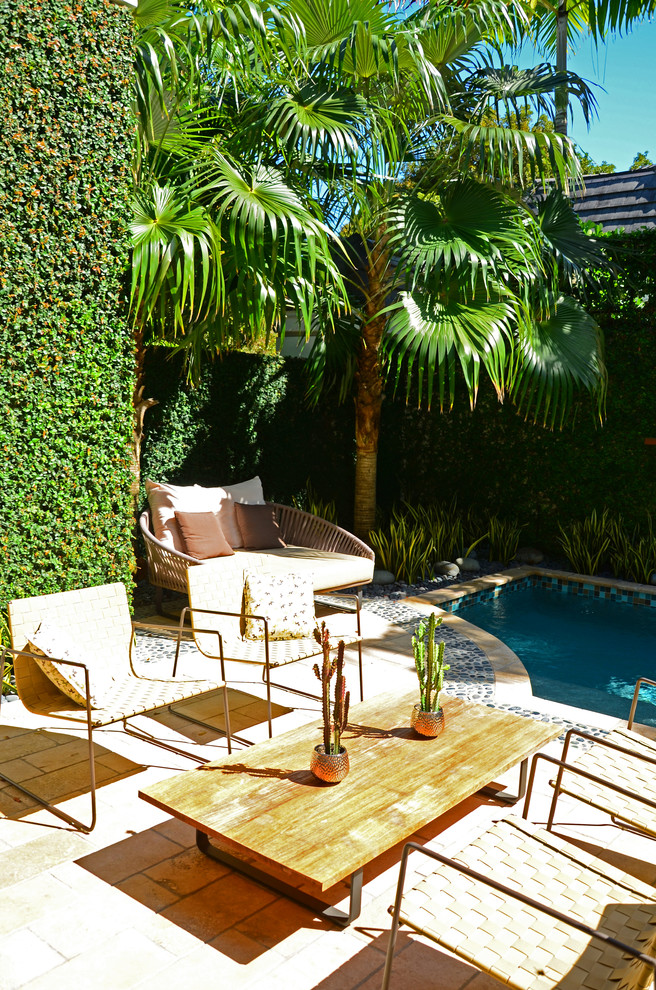 Photo of a mid-sized asian backyard rectangular lap pool in Miami with a hot tub and concrete pavers.