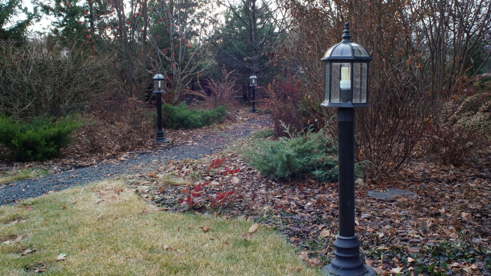 Современный сад в КП "Променад"
