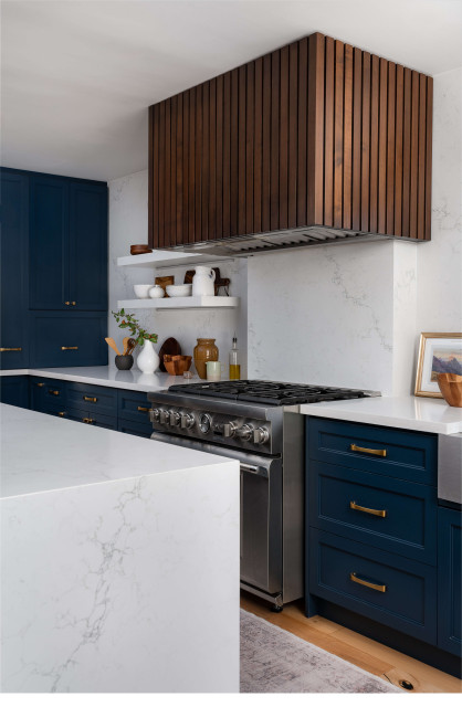 Brampton Project transitional-kitchen