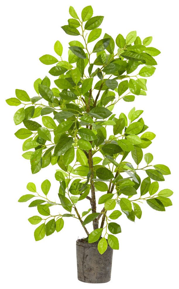 3' Ficus Artificial Tree, Planter Modern Artificial Plants And Trees by Nearly Natural