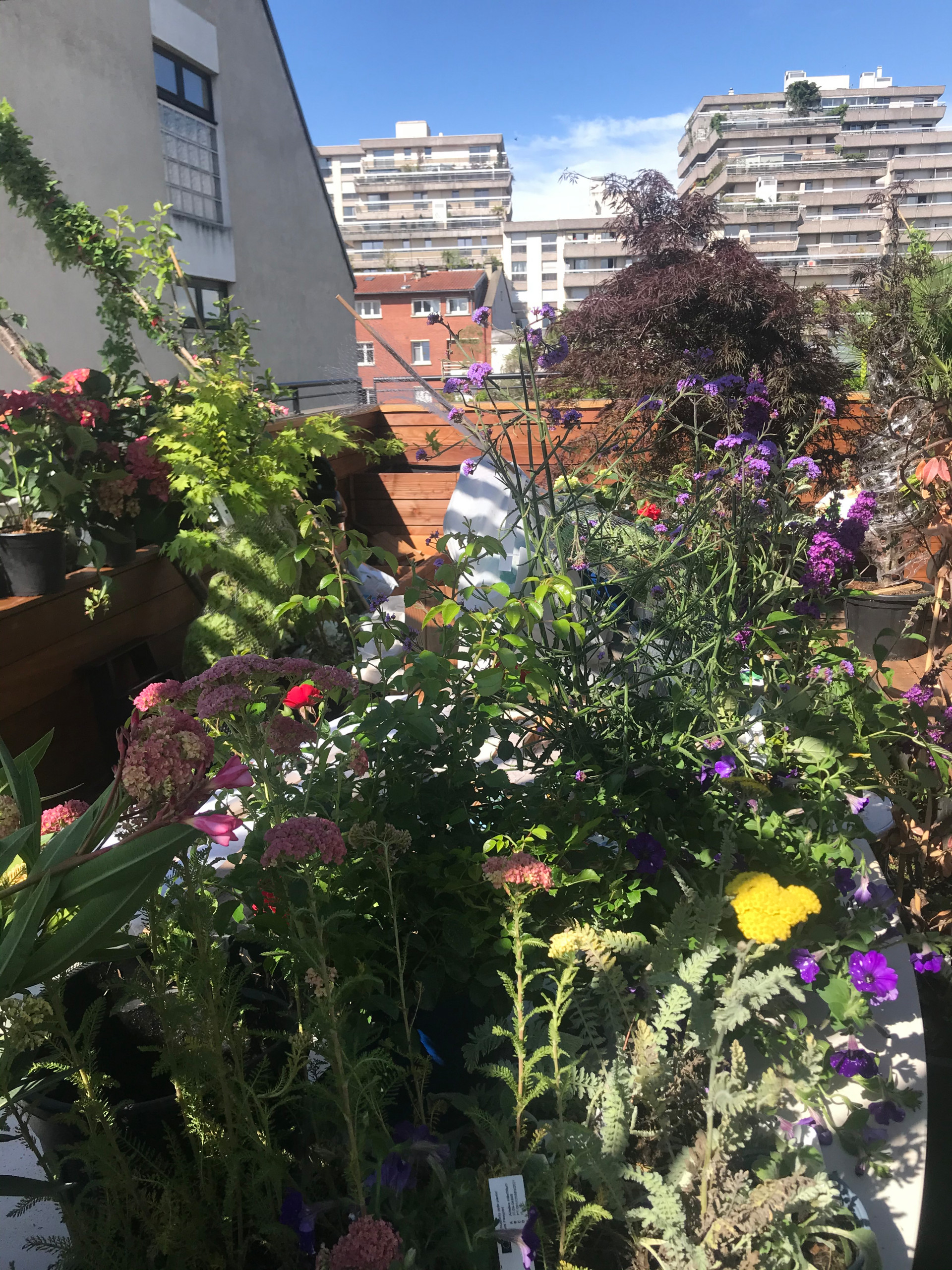 terrasse paysagée Boulogne