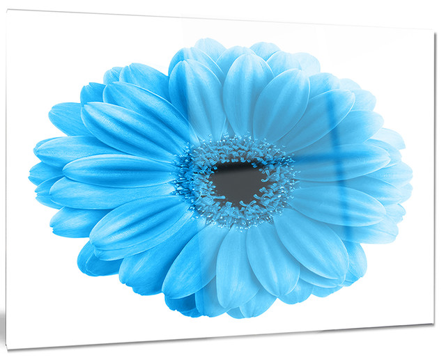 "Isolated Blue Flower" Glossy Metal Wall Art, 40"x30" Tropical