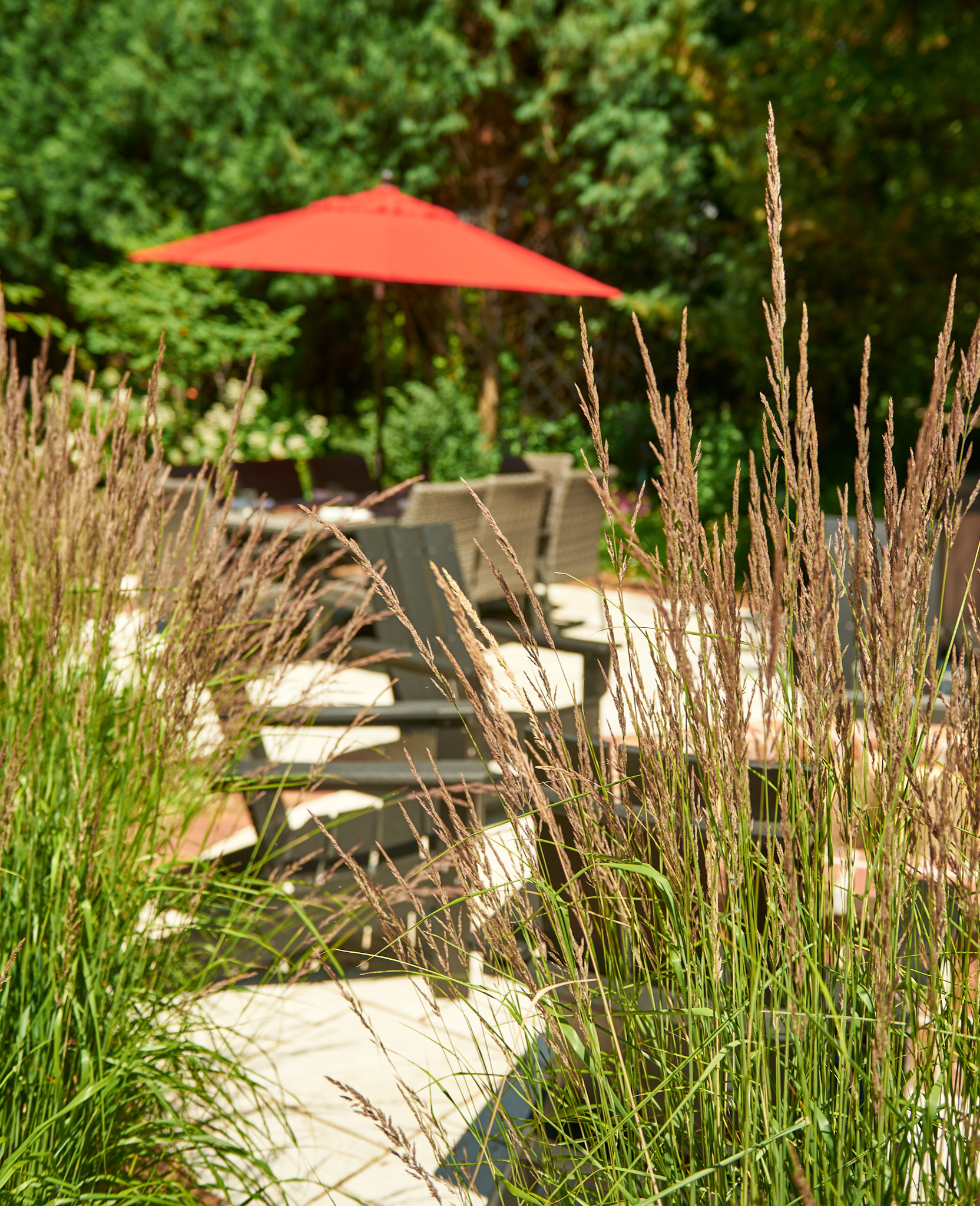 Traditional Backyard + Patio Landscape - Cedarburg, WI
