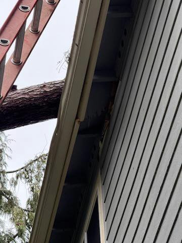 Roof Replacement