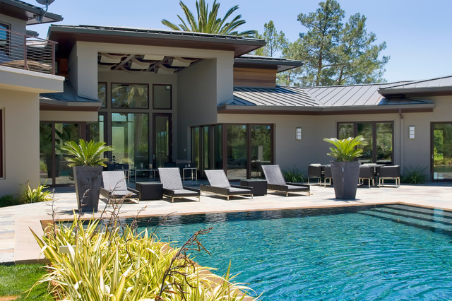 Fremont contemporary-pool