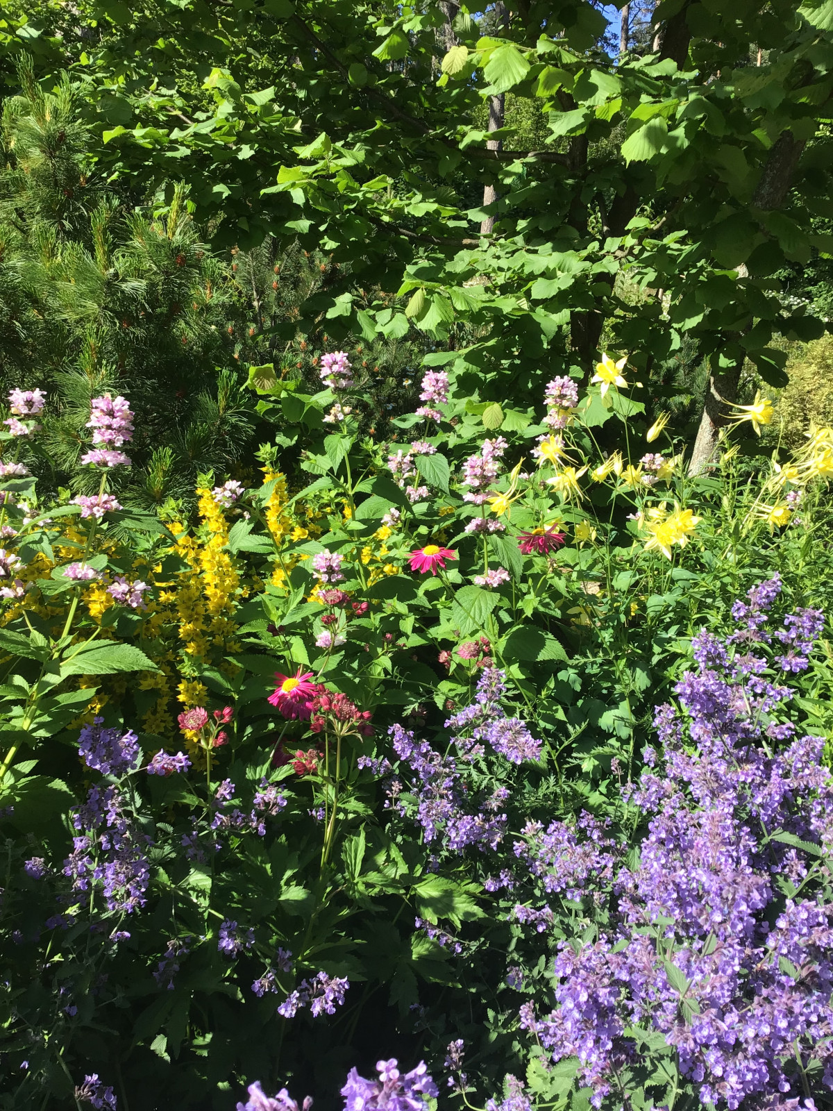 Цветники в стиле Nature garden