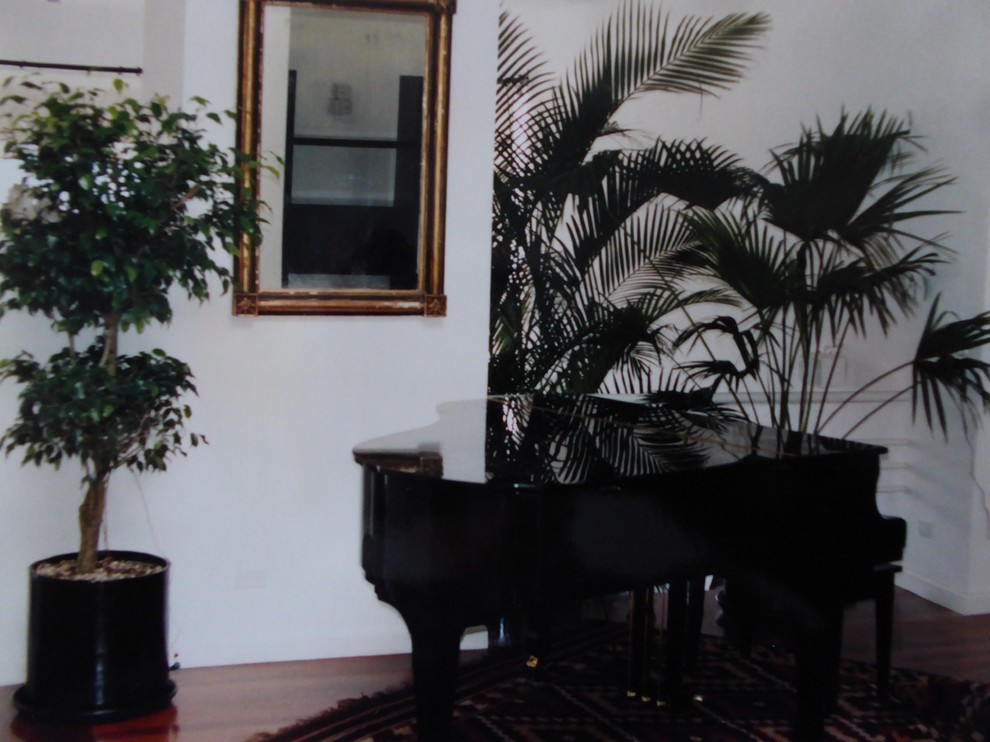 Indoor Pots & Planters