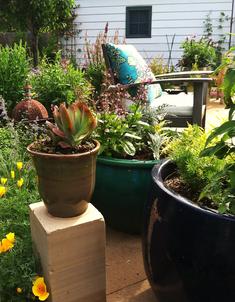 Inspiration for a large traditional backyard xeriscape in Denver with a container garden.