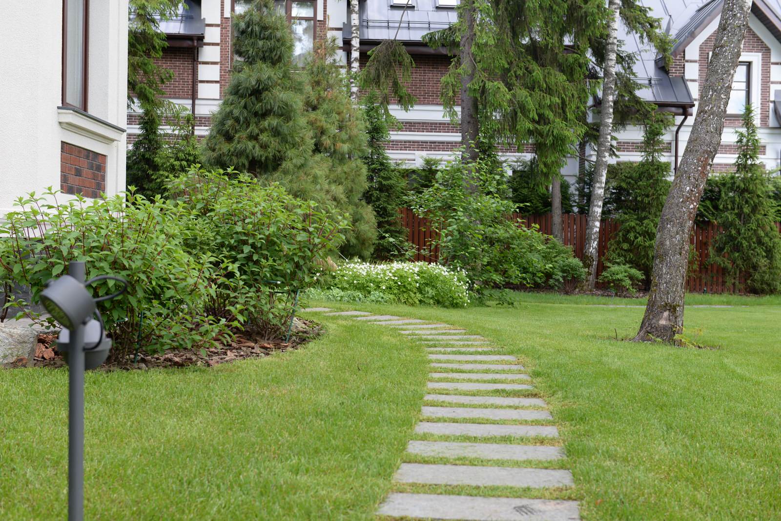 Новогорск 2021