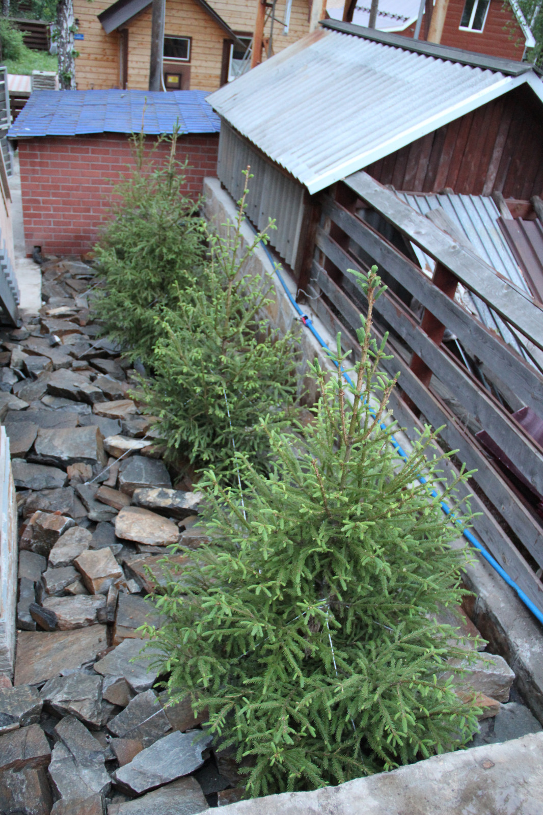 Создание уютного сада в Челябинске от Ландшафт74