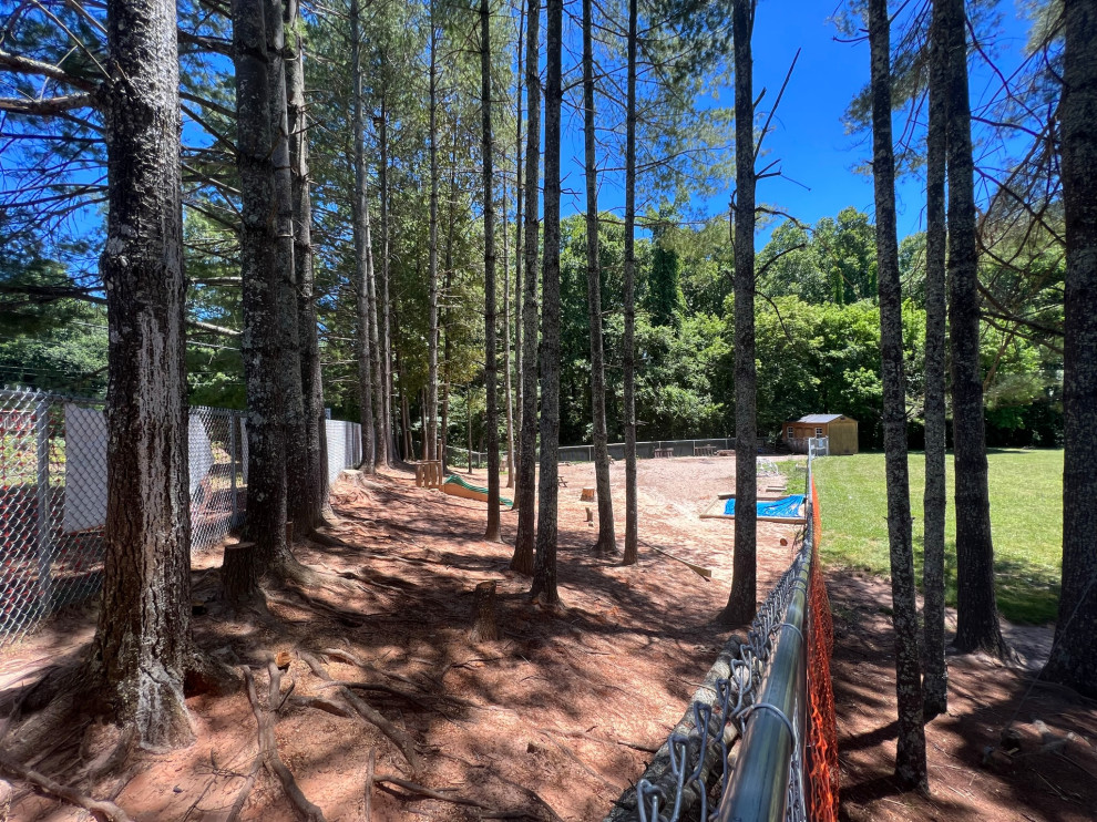 Naturally, a Playground Upgrade
