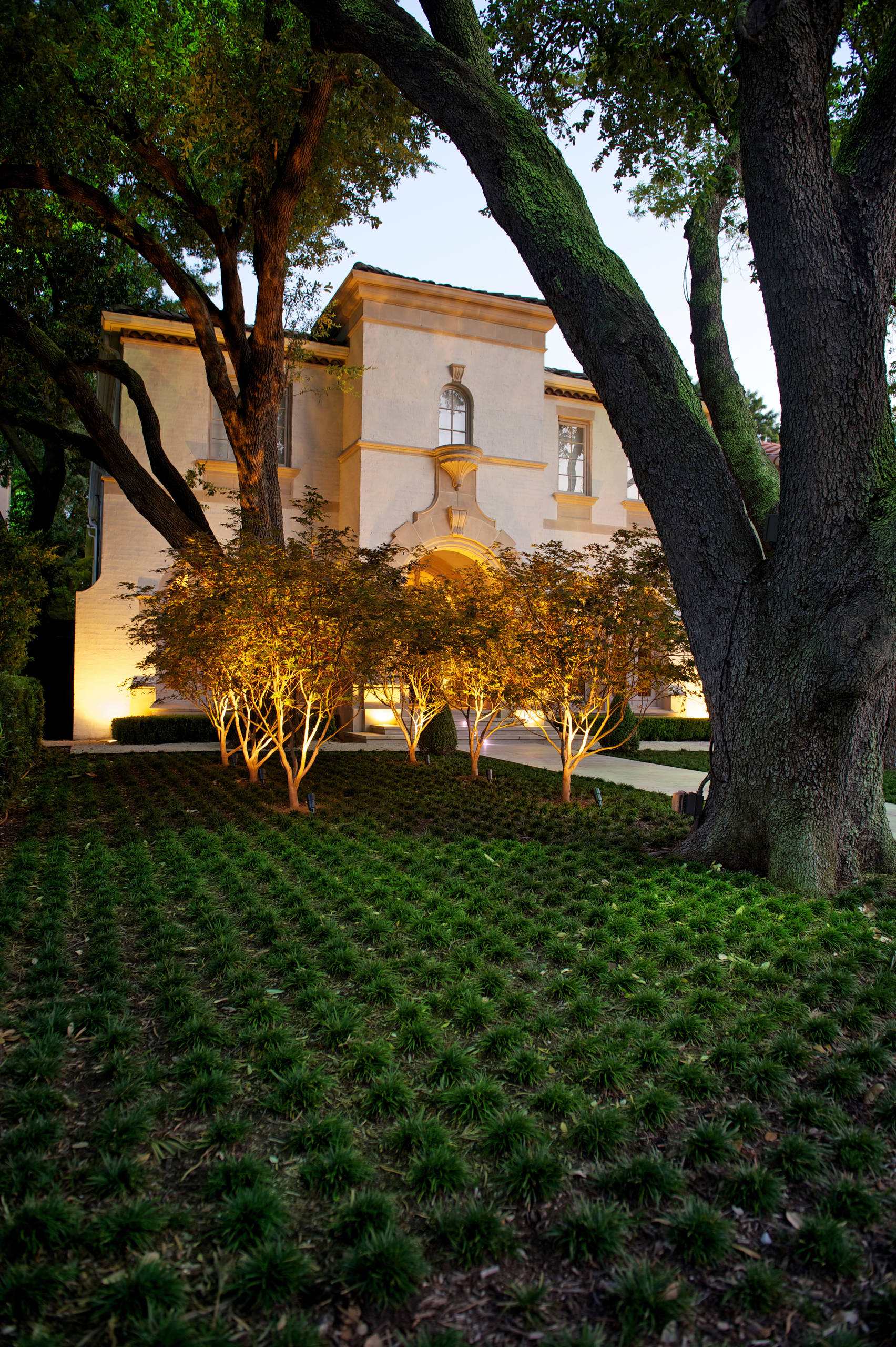 Dwarf Mondo Grass - Photos \u0026 Ideas | Houzz, image size:1704x2560