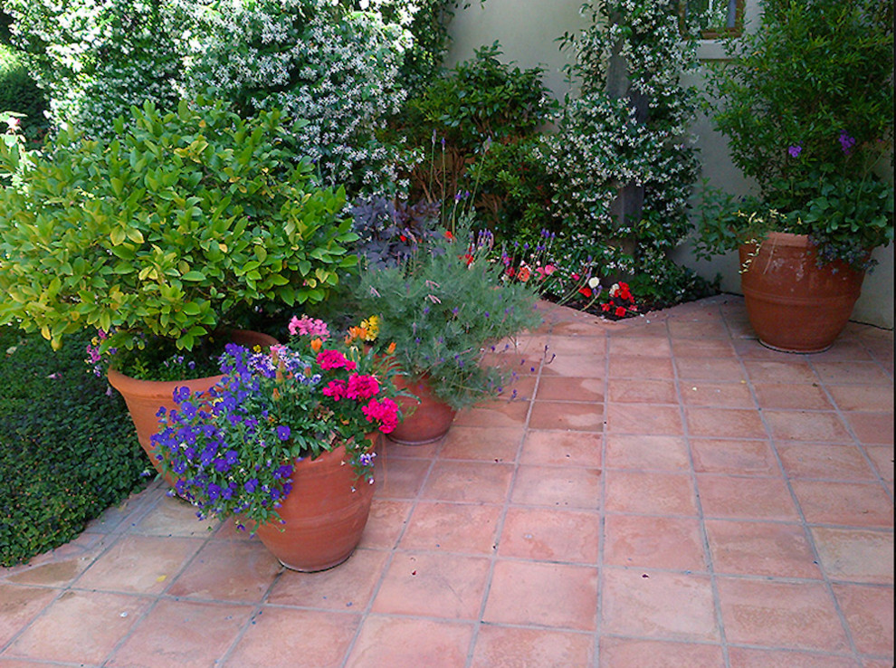 Mid-sized contemporary backyard patio in San Francisco with tile and no cover.