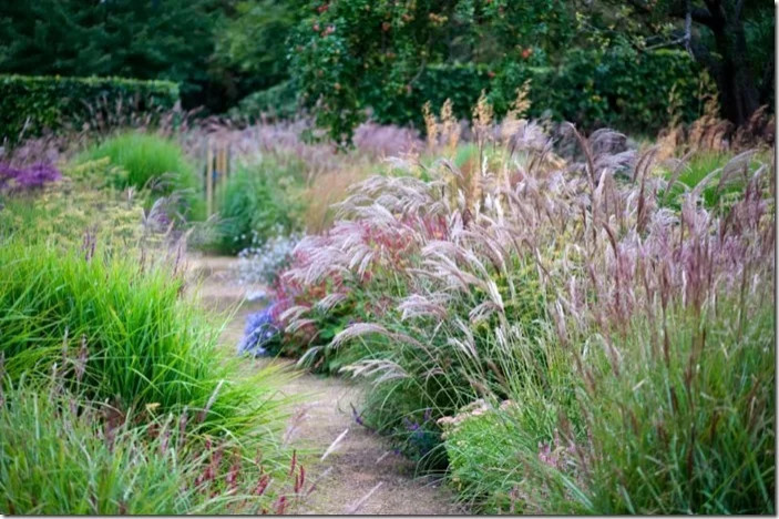 Perennial Gardens