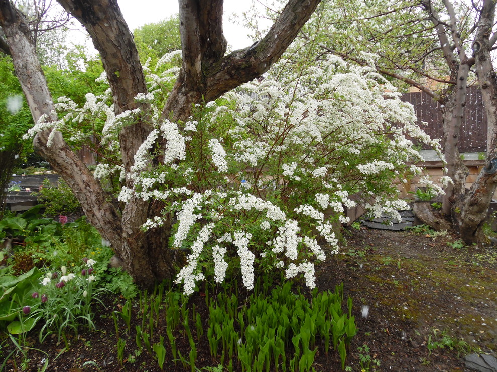 Сад для ландшафтного дизайнера.