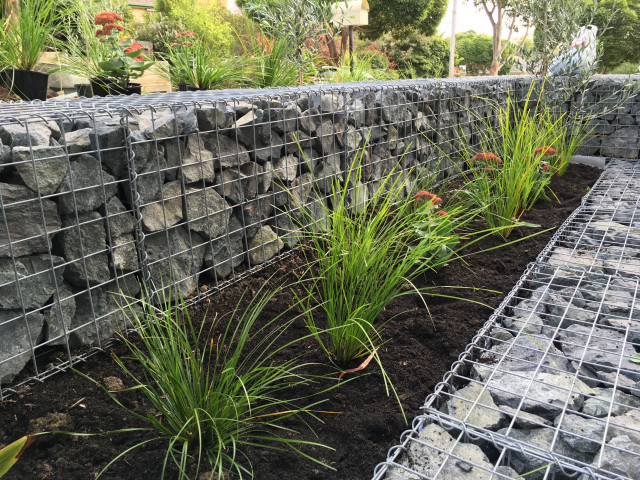 Templestowe rustic-landscape