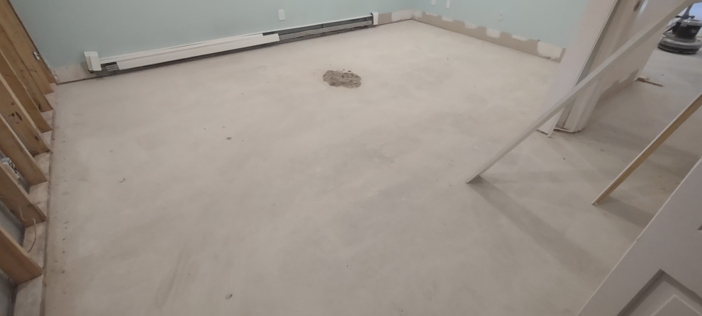 Coretec Laminate Floor In Basement