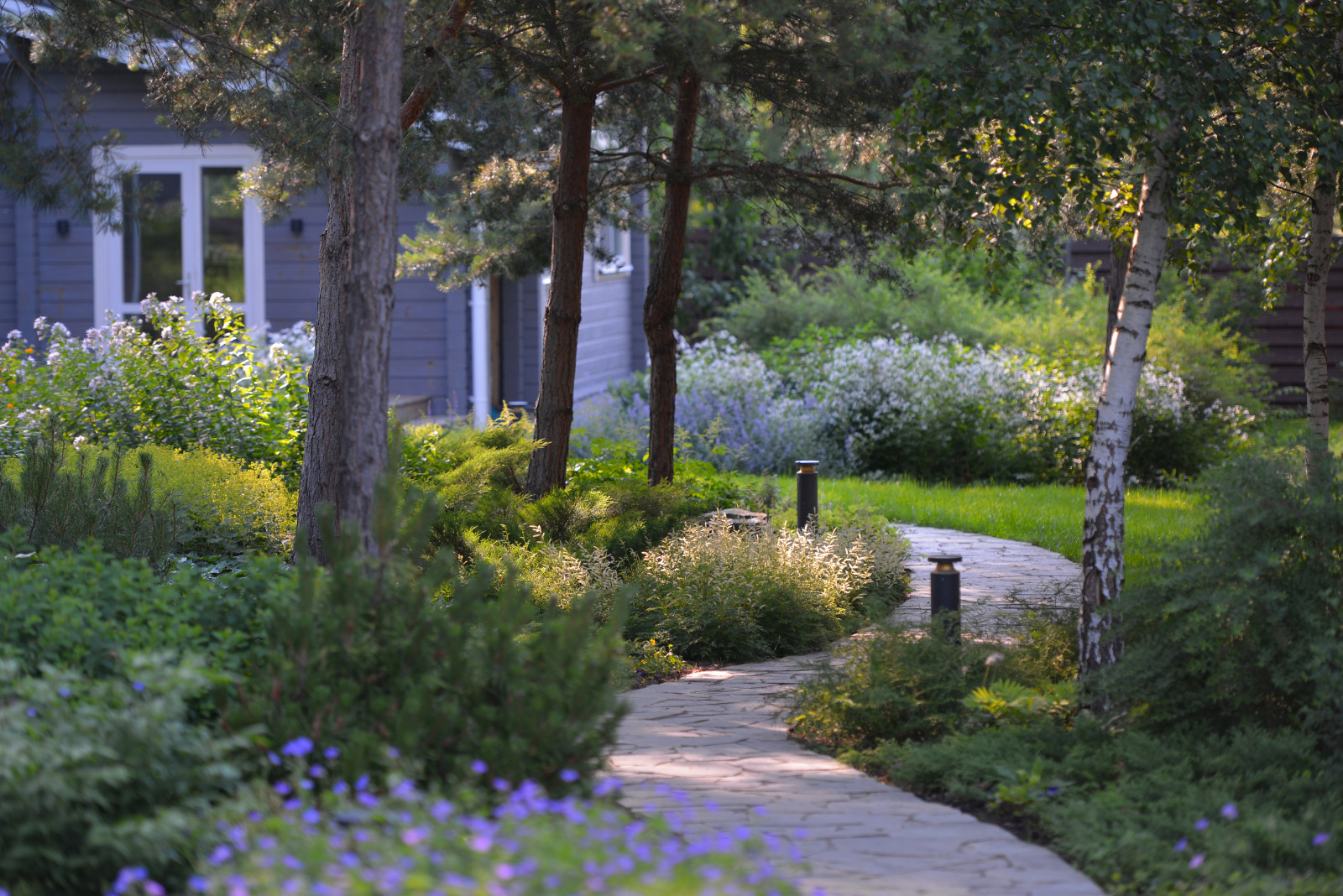 Озеро в лесу. Посёлок Приволье.