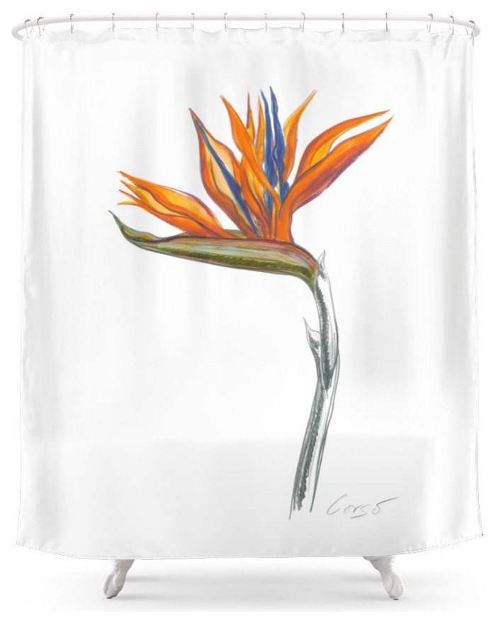 Bird Of Paradise 01 Botanical Flower Shower Curtain Contemporary