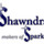 Shawndra Products, LLC