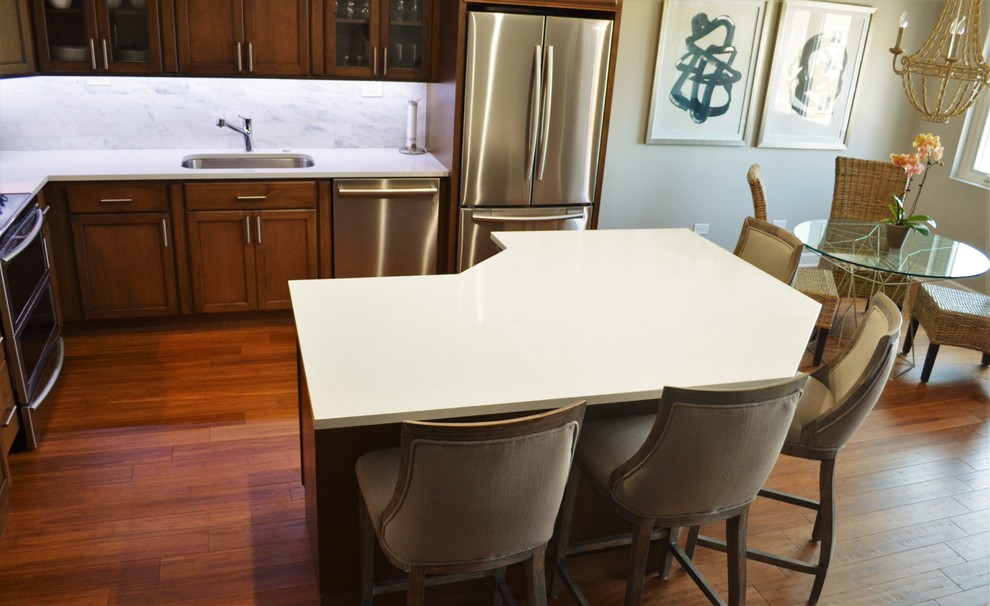 Inspiration for a transitional home design remodel in Chicago