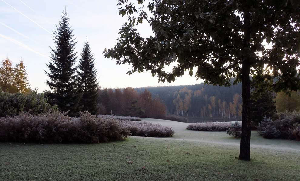 Новый пейзаж