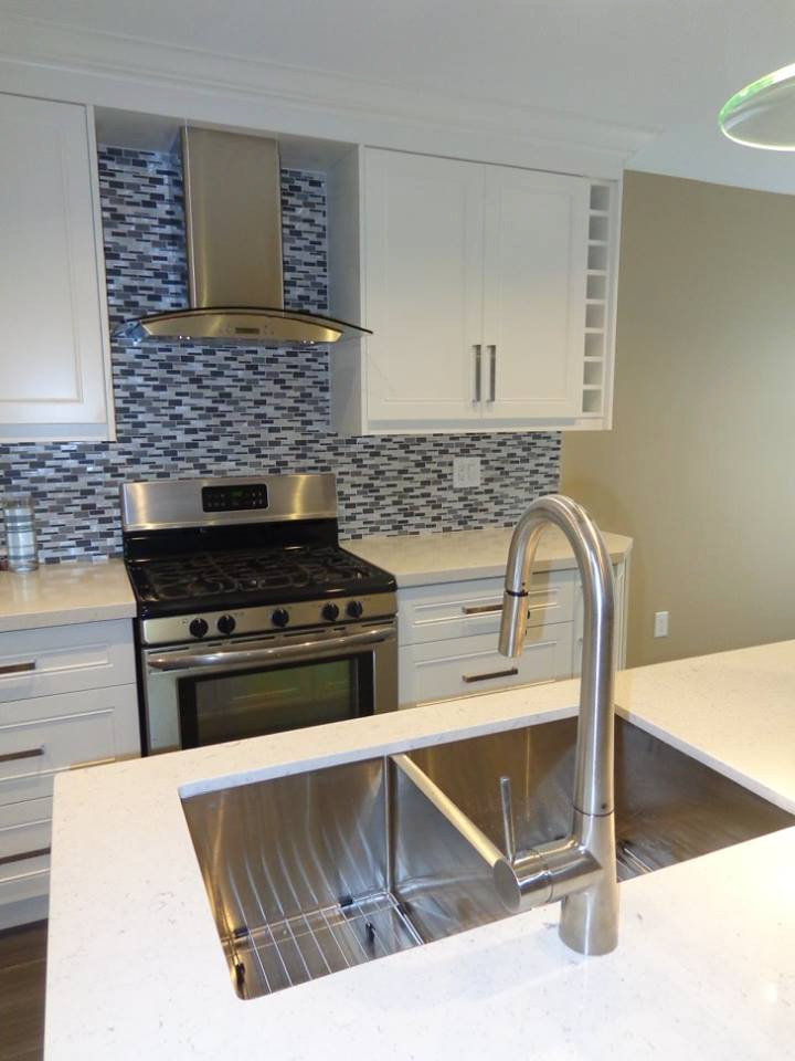 Kitchen - transitional kitchen idea in Toronto