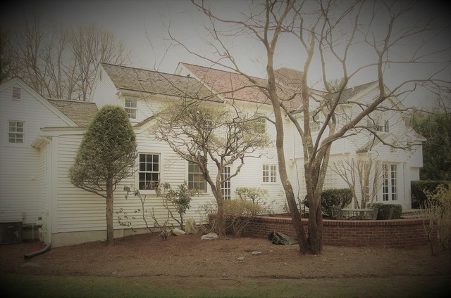 rear elevation - before. transitional