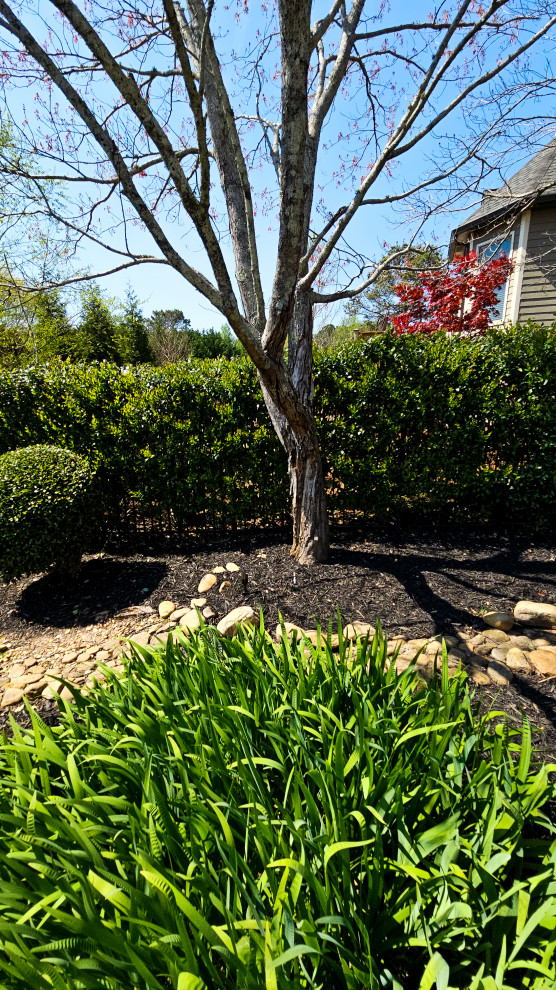 Outdoor Lighting and Audio, Cumming, Ga