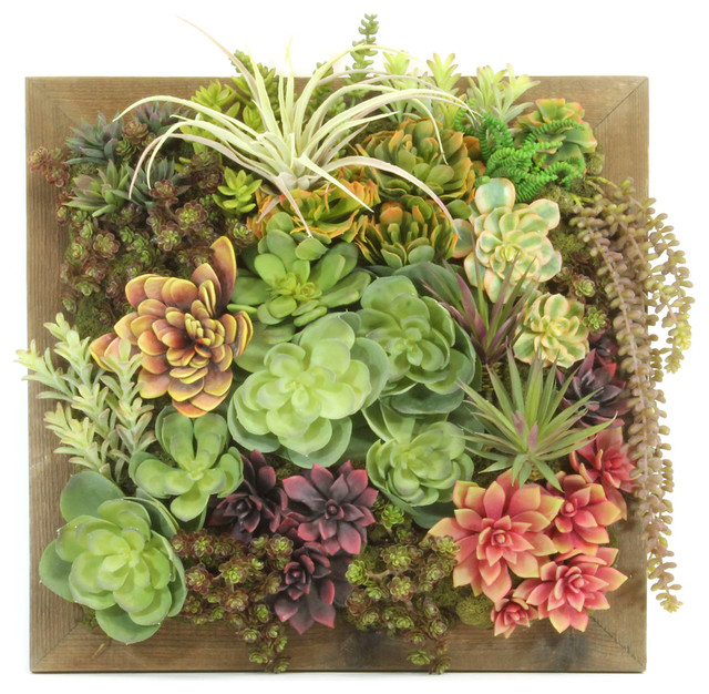 Summerlin Faux Succulent Wall Decor Contemporary Artificial Summerlin Faux Succulent Wall Decor
