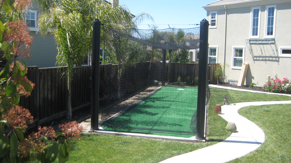 Rhino Batting Cages San Francisco by Bay Area Rhino Court Houzz