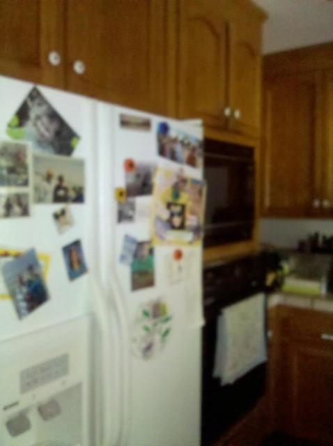 Hillman Kitchen Remodel transitional