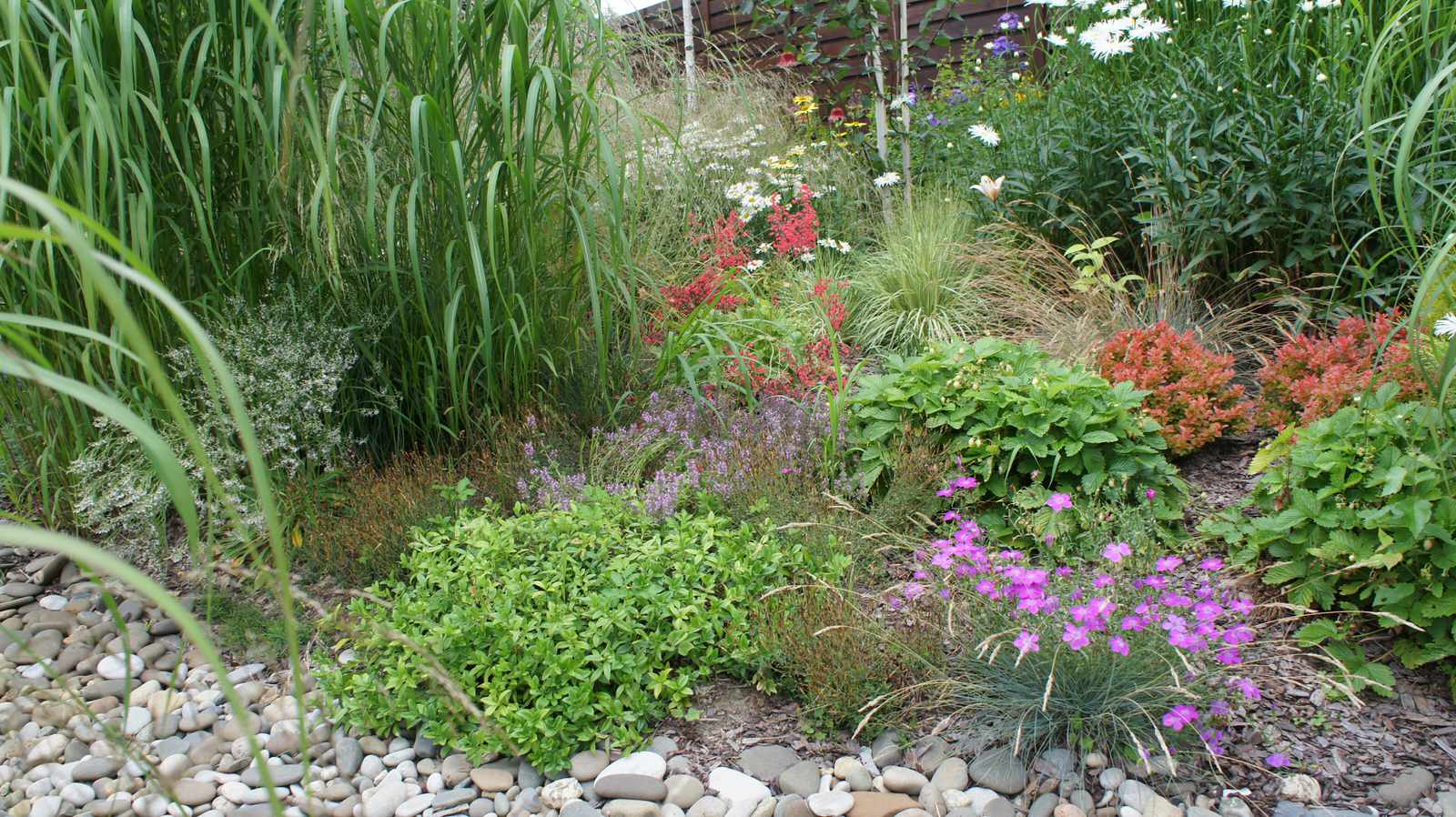 Прохорово лето 2017