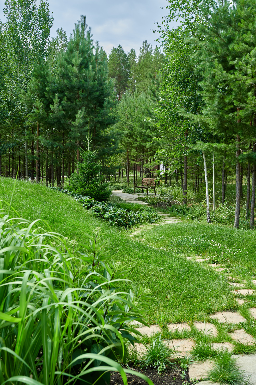 Лесной сад