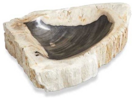 Interlude Home Petrified Wood Bowl - large
