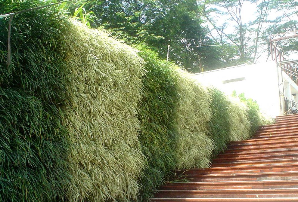 Living Hairly Green Wall Silver Tower ,Singapore Modern Singapore