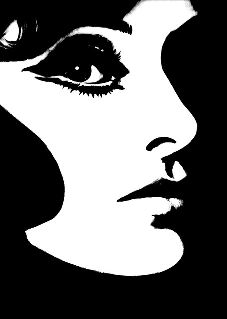 Superstar Wallpaper Contemporary By Phyllis Morris Superstar Wallpaper Black And White