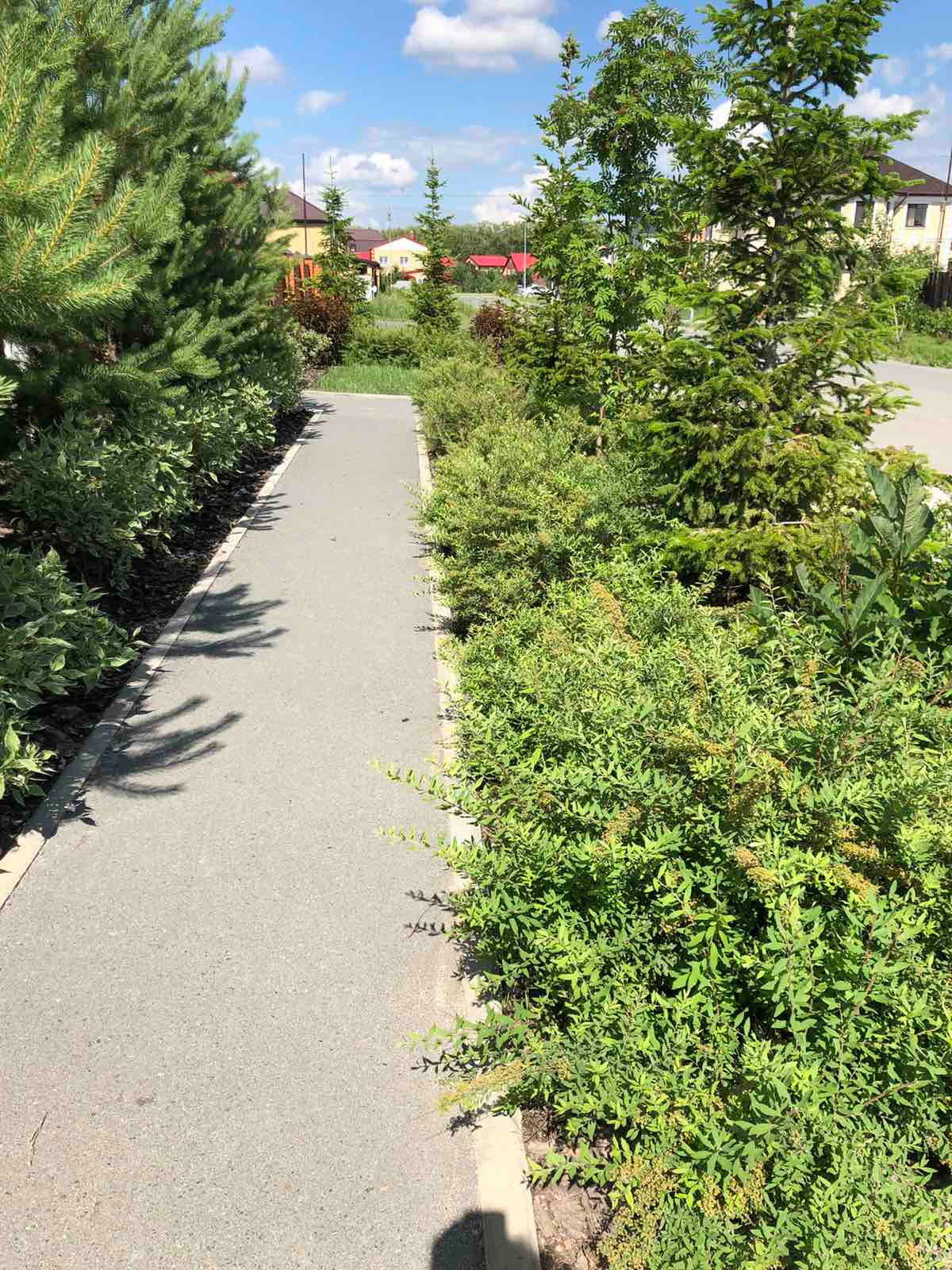 Придомовая территория