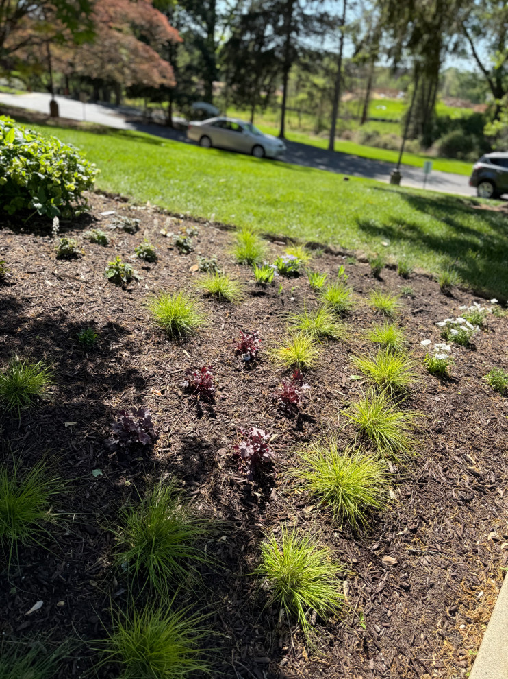 Native plants