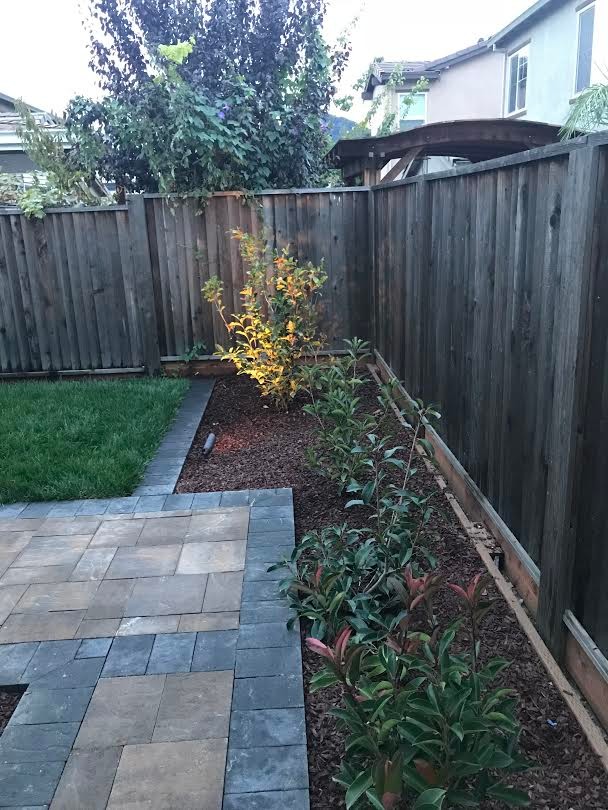 Backyard Patio with Pergola