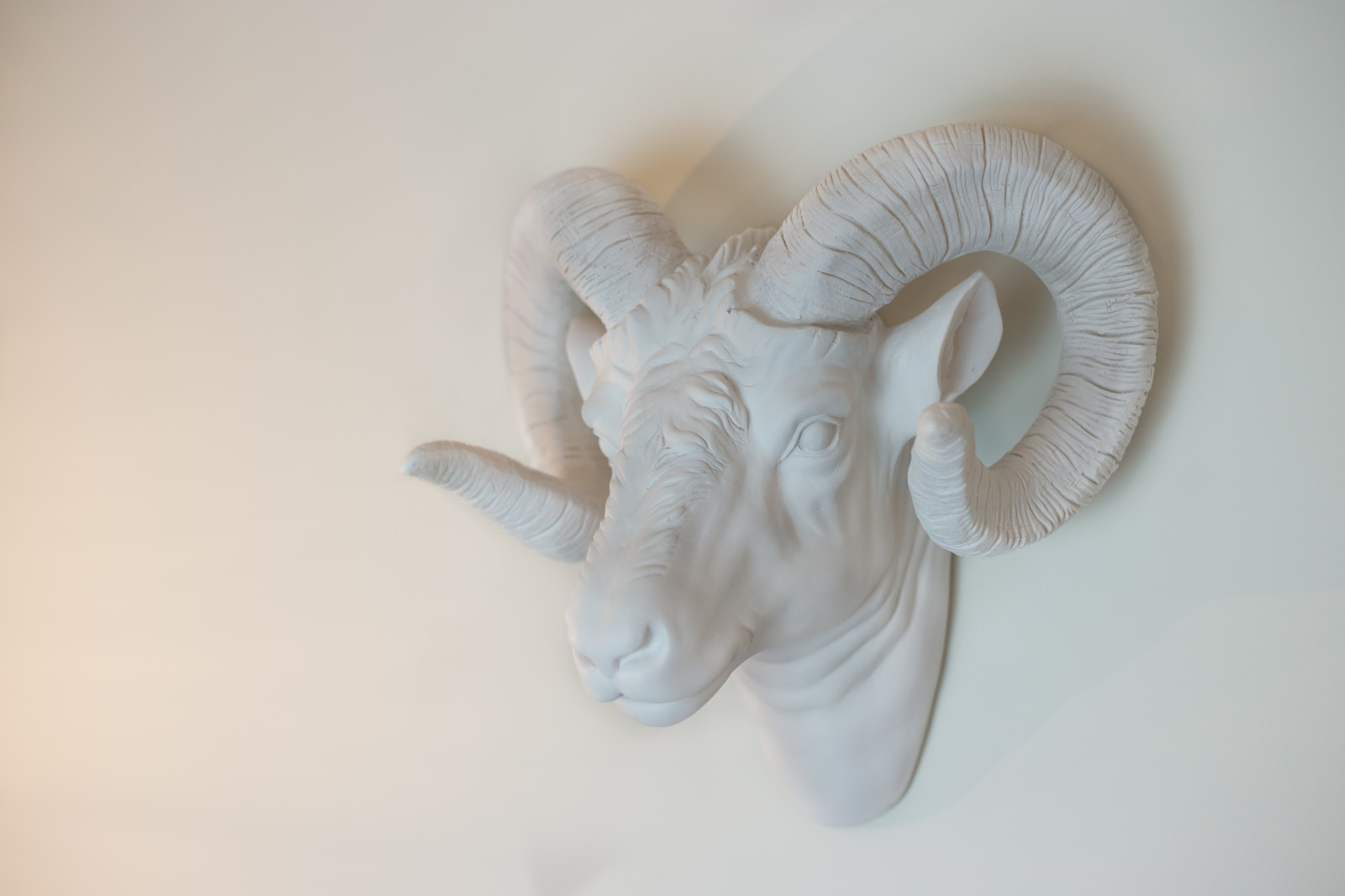 Зеленоградск