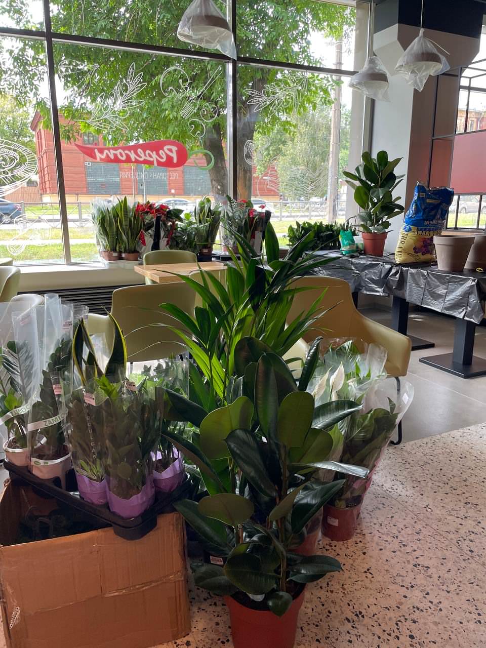 Пиццерия Peperoni г. Санкт-Петербург