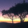 marlene_ruderman29