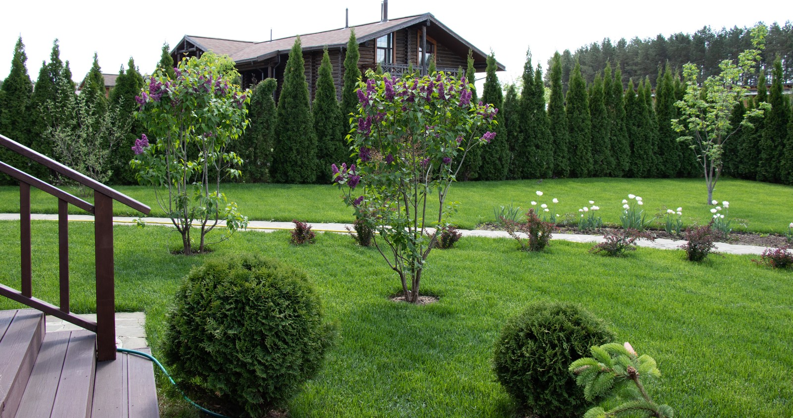 Сосновые берега