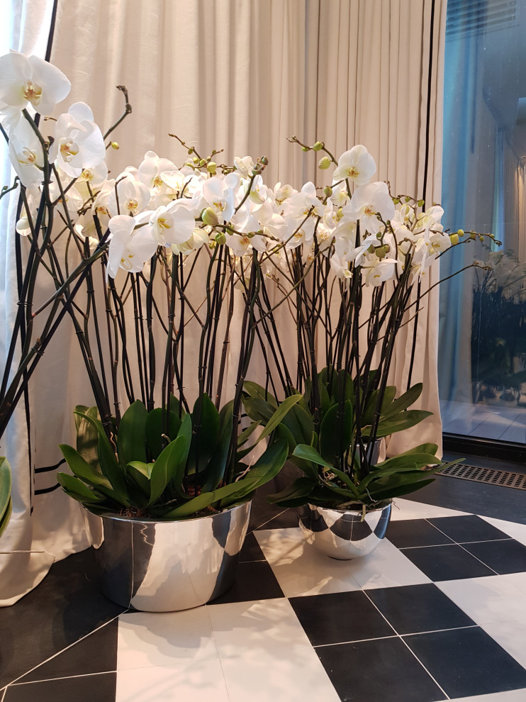 Озеленение офиса