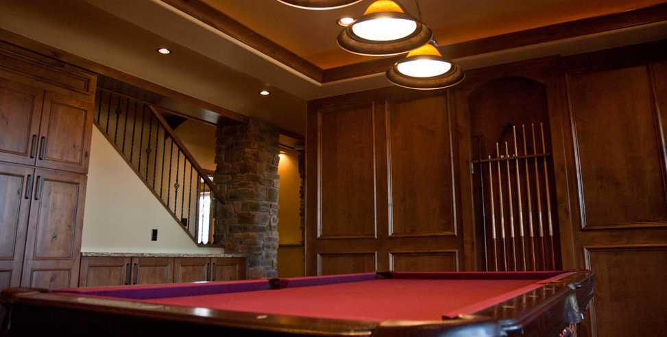 Mountain style basement photo in Denver