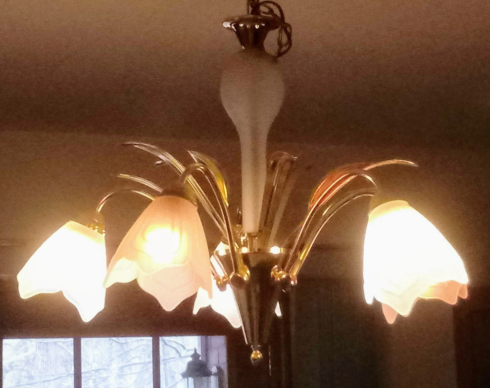 "Retro" tulip chandeliers